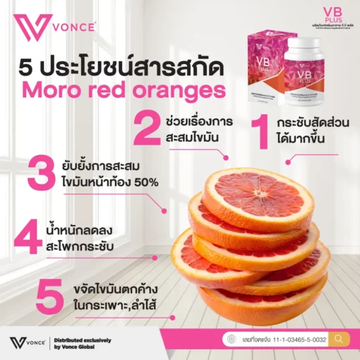 VB Plus วีบี พลัส ลดน้ำหนัก ลดความอ้วน ลดพุง กระชับสัดส่วน เร่งเผาผลาญ คุมหิว VONCE