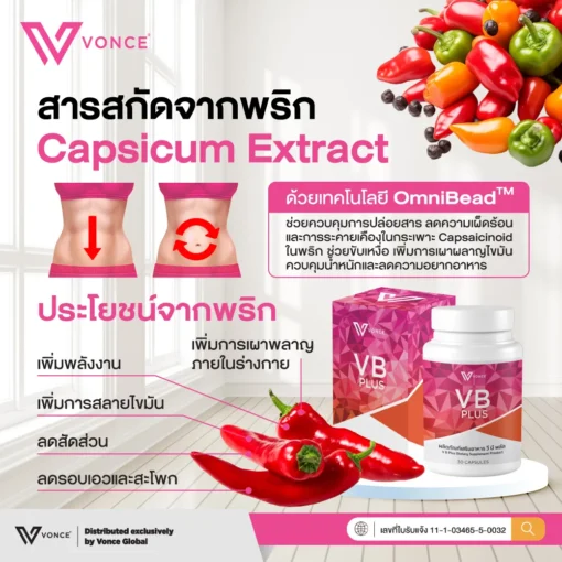 VB Plus วีบี พลัส ลดน้ำหนัก ลดความอ้วน ลดพุง กระชับสัดส่วน เร่งเผาผลาญ คุมหิว VONCE