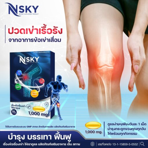 Nsky เอ็นสกาย อาหารเสริมเพื่อสุขภาพ ข้อ เข่า กระดูกข้อต่อ ปวดหลัง มือชา เก๊าท์ รูมาตอยด์